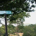 Bullfrog Lane